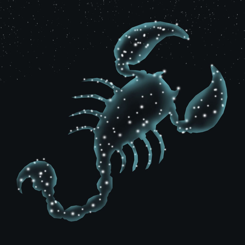 The Scorpio™ — Between Strength and Softness