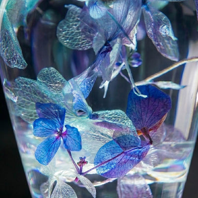 Violet Nebula