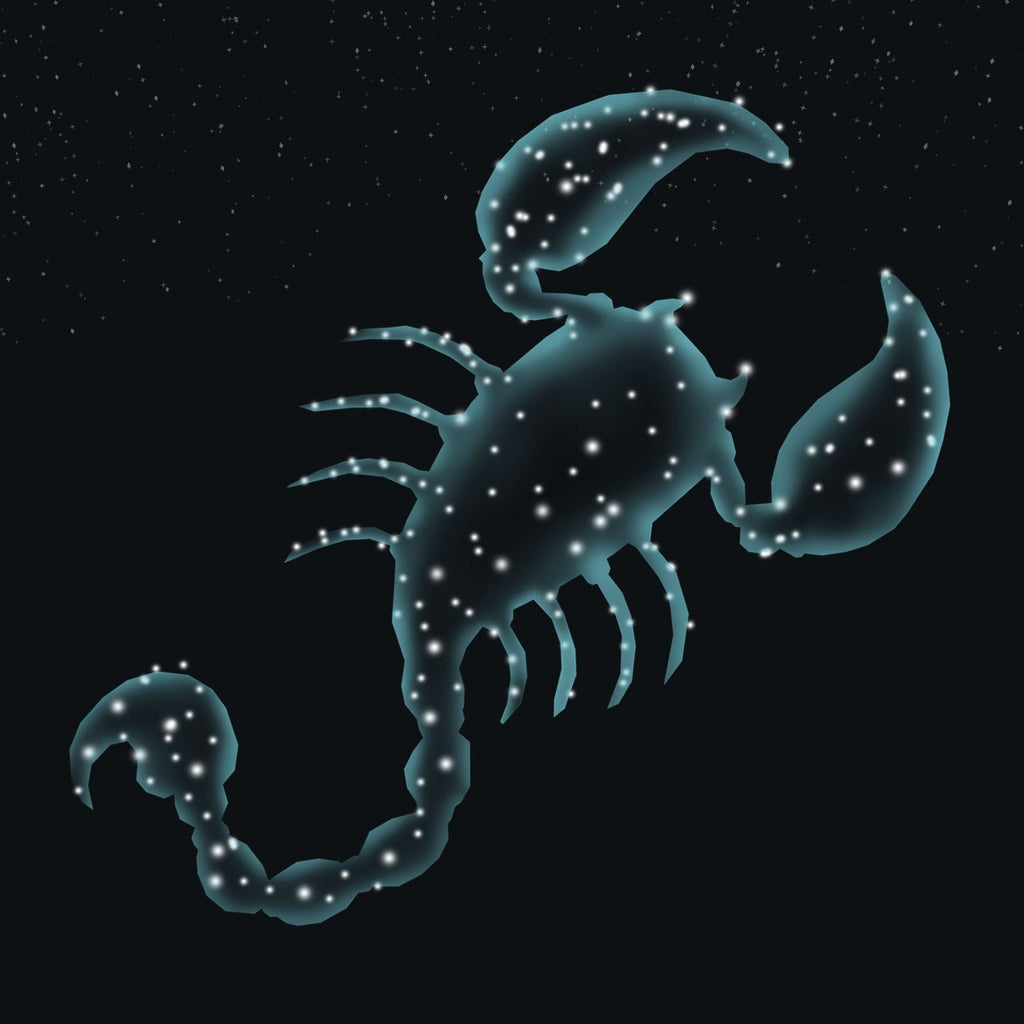 The Scorpio™ — Between Strength and Softness