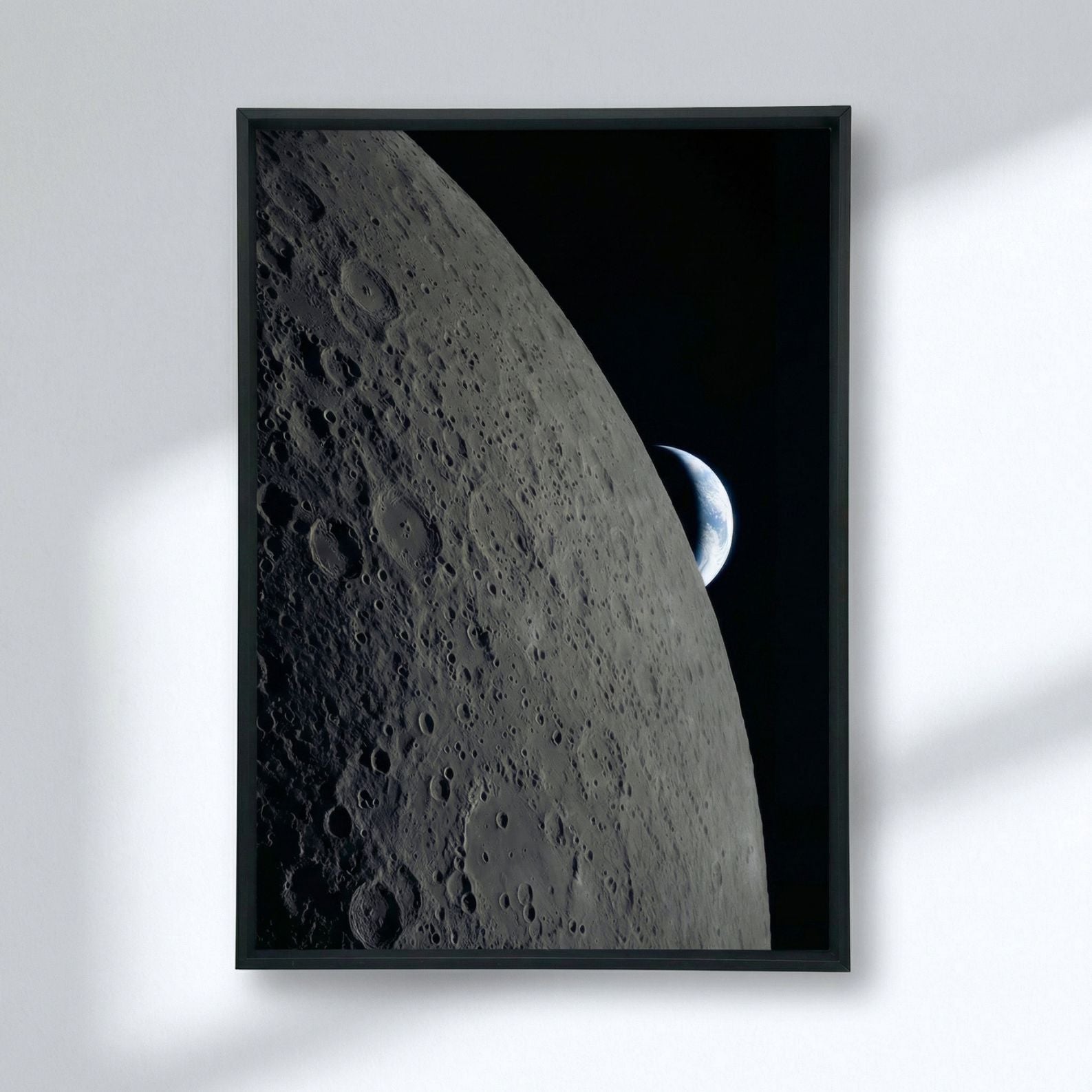 Canvas Art