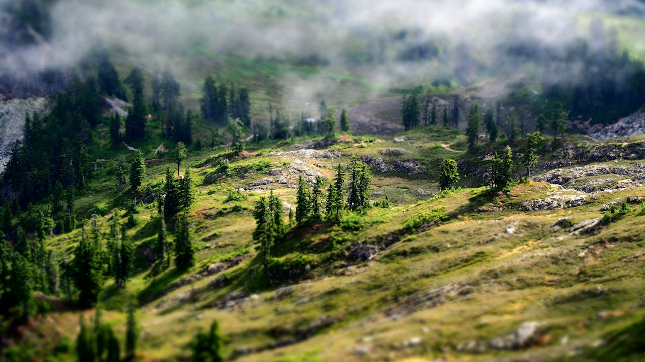 Nature’s Essence