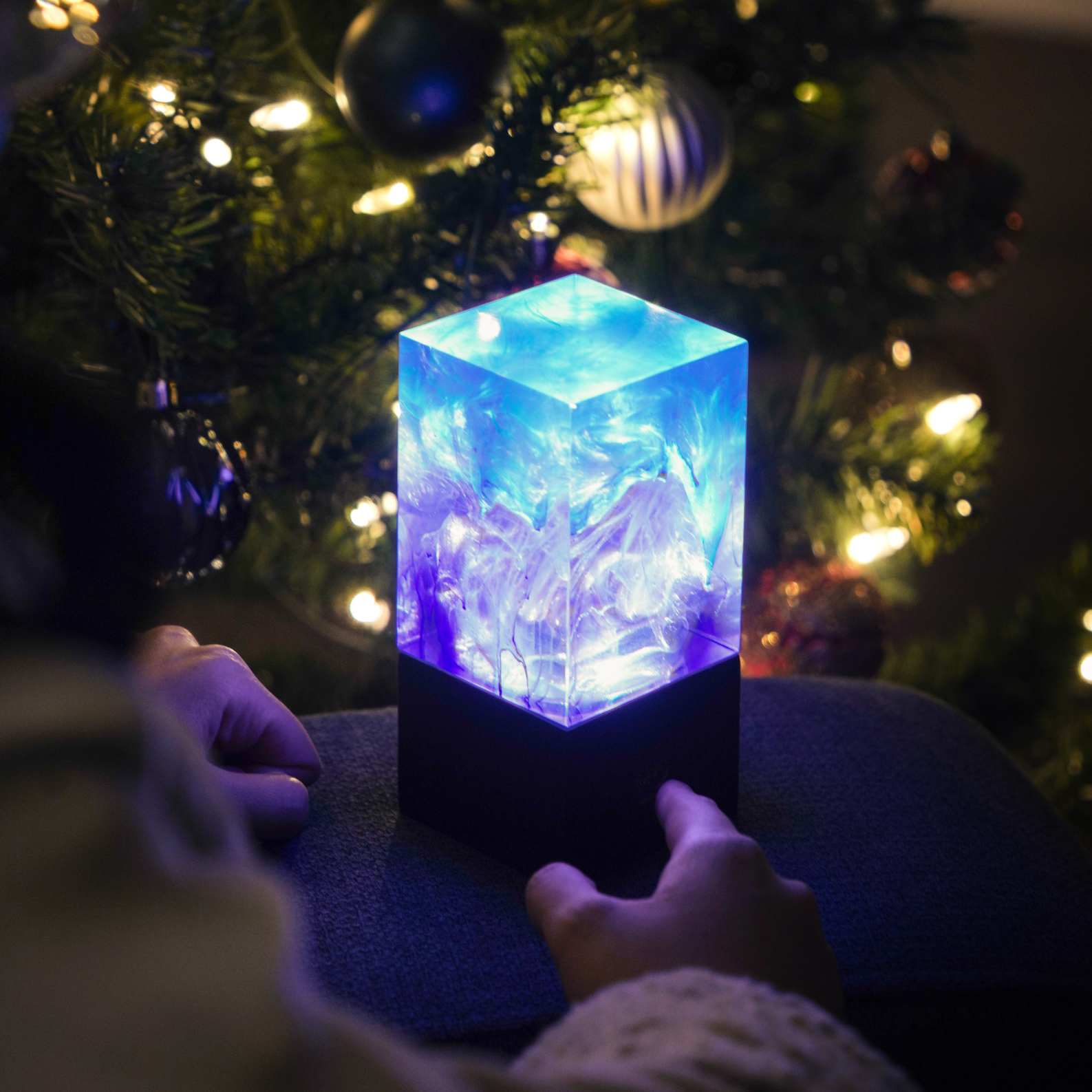 Aurora Bloom Collection