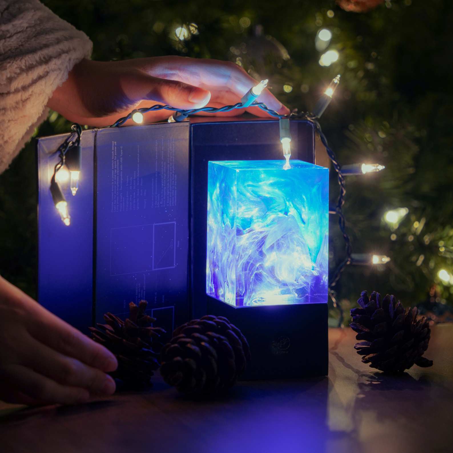 Aurora Bloom Collection