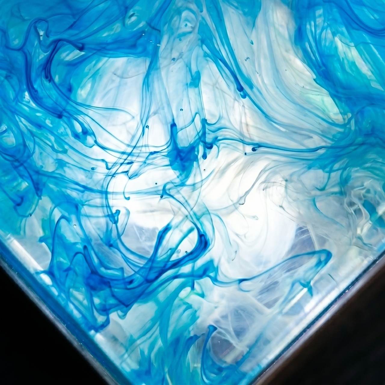 The Ice Age™