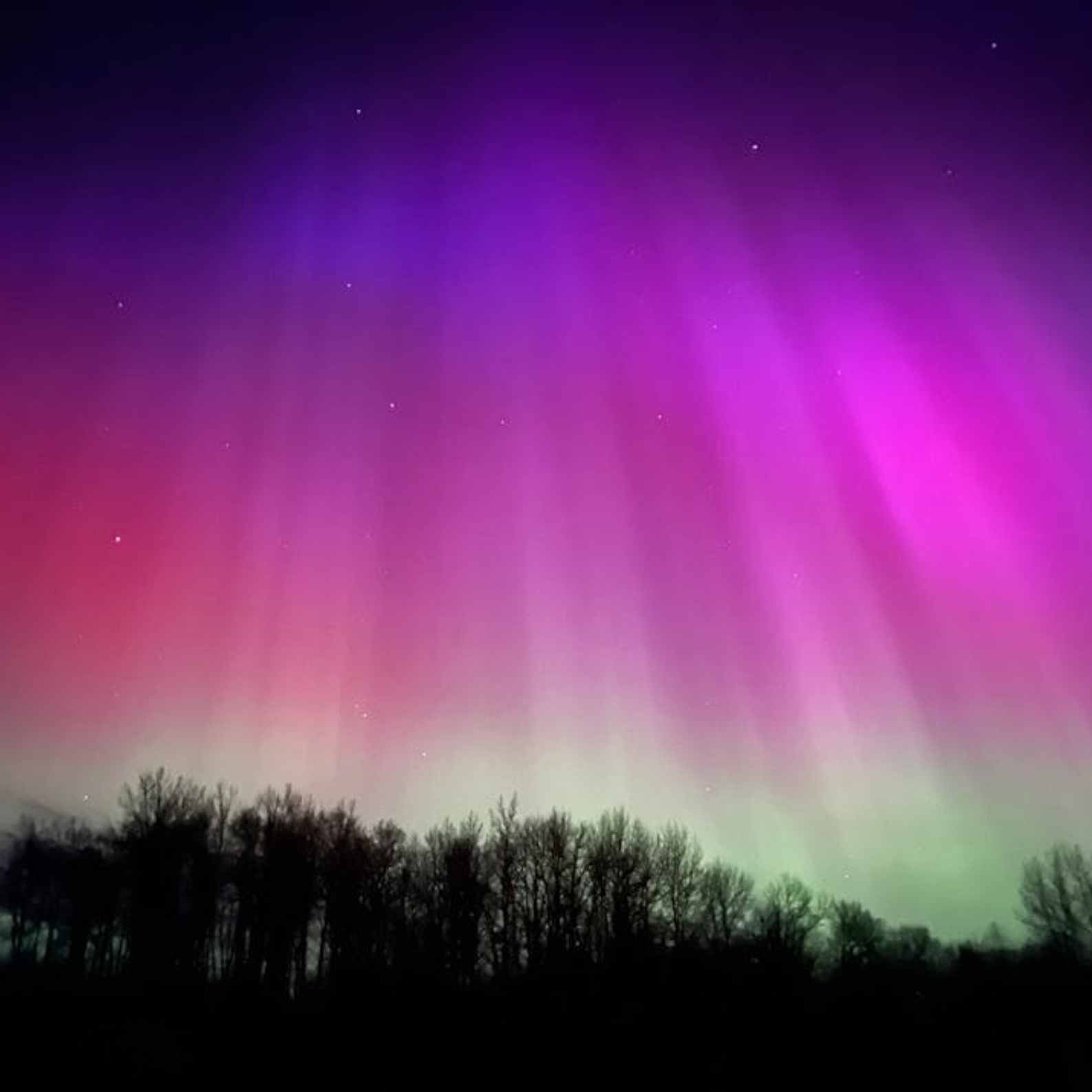 Aurora Bloom Collection