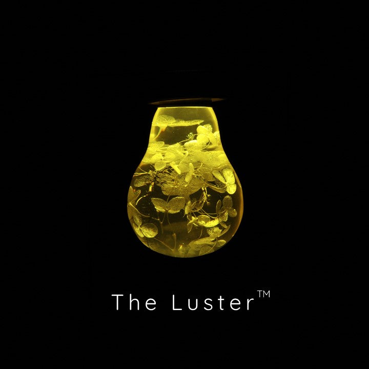 The Luster™