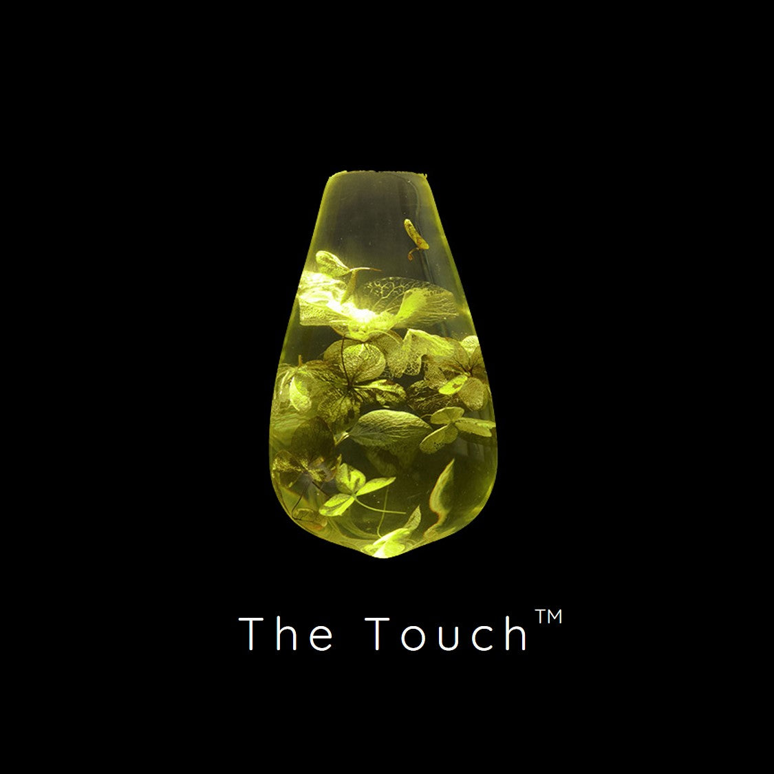 The Touch™